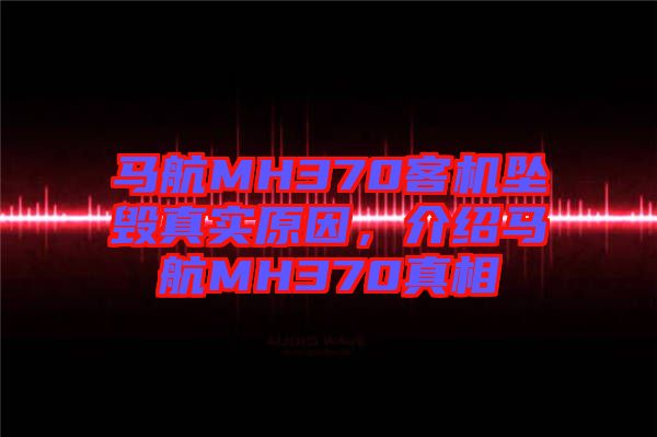 馬航MH370客機墜毀真實原因，介紹馬航MH370真相