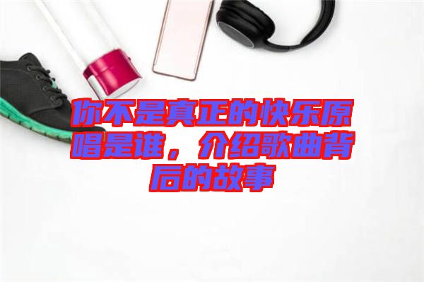 你不是真正的快樂原唱是誰，介紹歌曲背后的故事