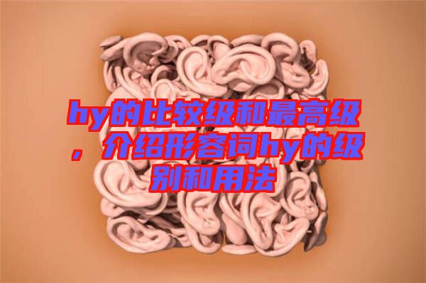 hy的比較級和最高級，介紹形容詞hy的級別和用法