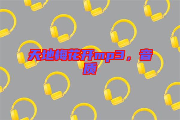 天地梅花開mp3，音質(zhì)
