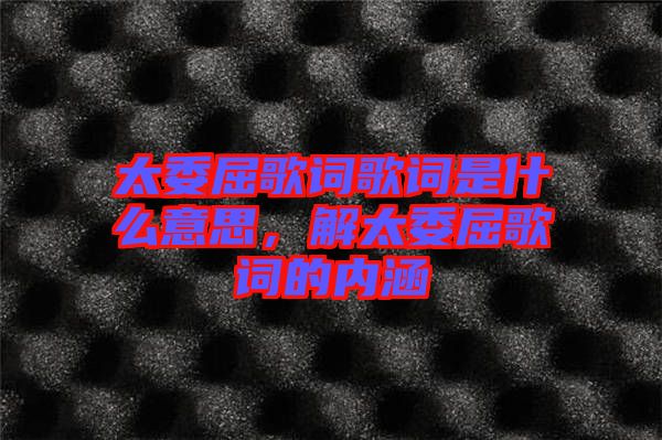 太委屈歌詞歌詞是什么意思，解太委屈歌詞的內涵