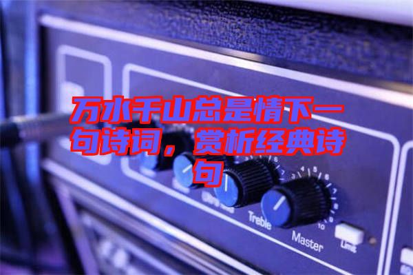 萬(wàn)水千山總是情下一句詩(shī)詞，賞析經(jīng)典詩(shī)句