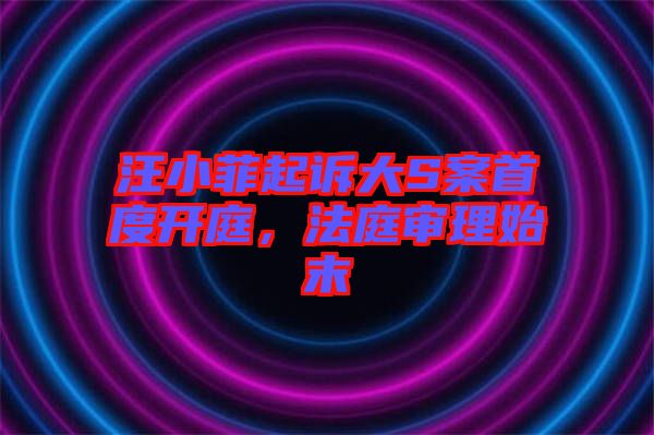汪小菲起訴大S案首度開庭，法庭審理始末