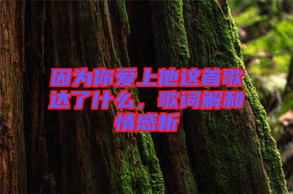 因?yàn)槟銗凵纤@首歌達(dá)了什么，歌詞解和情感析