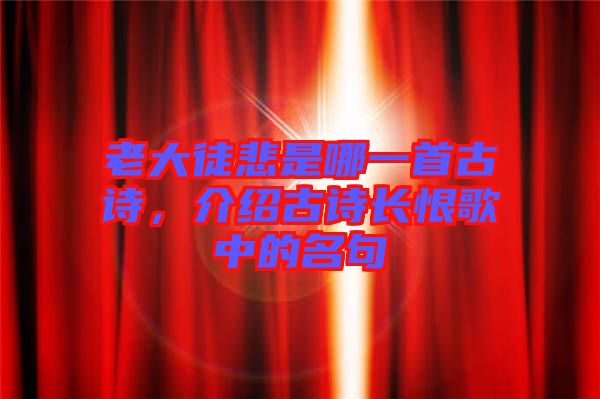 老大徒悲是哪一首古詩(shī)，介紹古詩(shī)長(zhǎng)恨歌中的名句