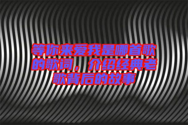 等你來(lái)愛(ài)我是哪首歌的歌詞，介紹經(jīng)典老歌背后的故事