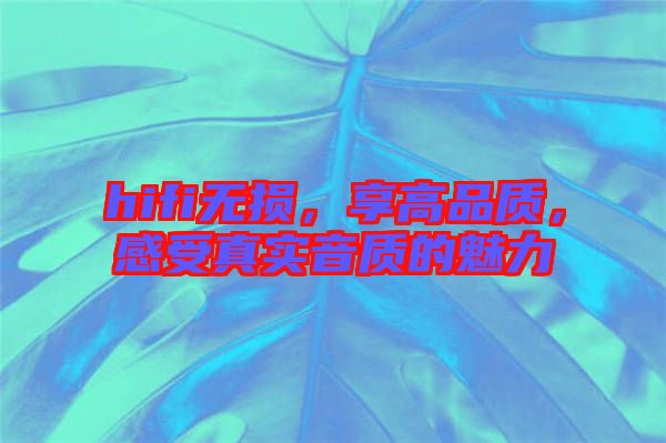 hifi無損，享高品質，感受真實音質的魅力