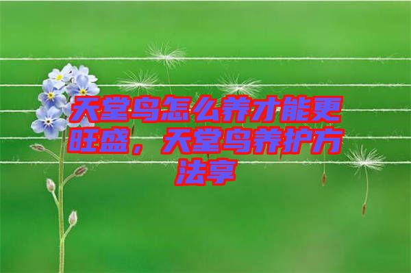 天堂鳥怎么養(yǎng)才能更旺盛，天堂鳥養(yǎng)護方法享