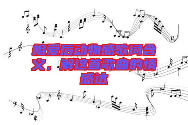 相愛后動物感歌詞含義，解這首歌曲的情感達