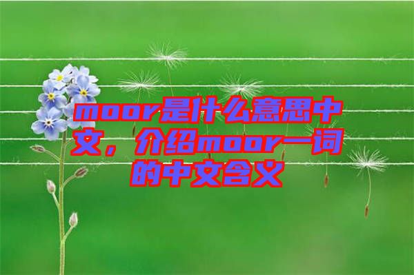 moor是什么意思中文，介紹moor一詞的中文含義