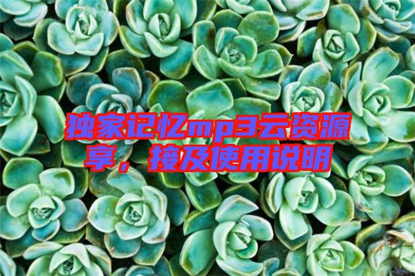 獨家記憶mp3云資源享，接及使用說明