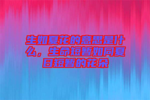 生如夏花的意思是什么，生命短暫如同夏日短暫的花朵