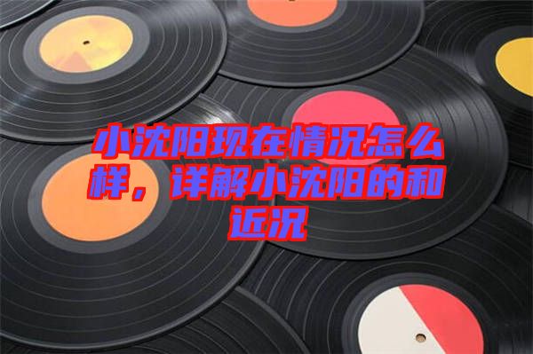 小沈陽現(xiàn)在情況怎么樣，詳解小沈陽的和近況