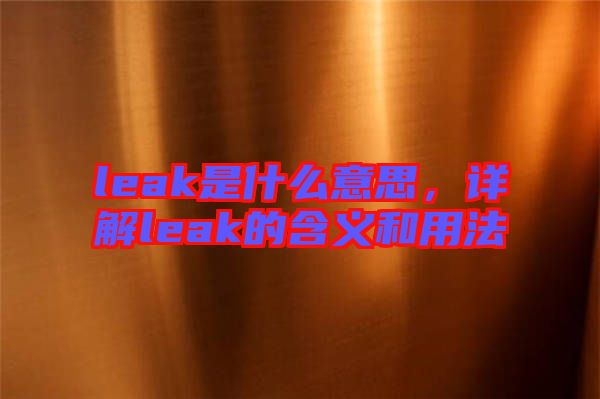 leak是什么意思，詳解leak的含義和用法