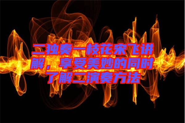 二獨(dú)奏一枝花宋飛講解，享受美妙的同時(shí)了解二演奏方法