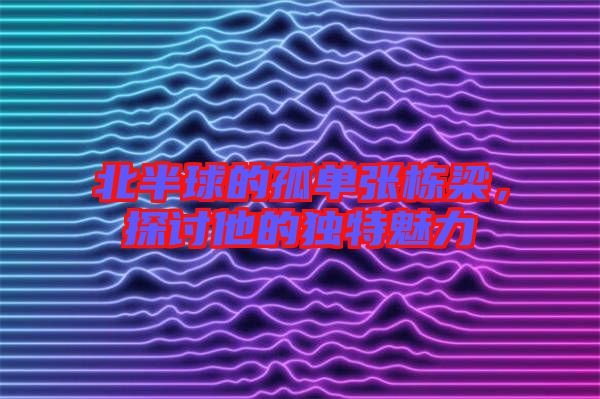 北半球的孤單張棟梁，探討他的獨特魅力