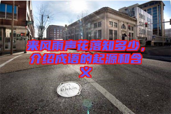 來風(fēng)雨聲花落知多少，介紹成語的起源和含義