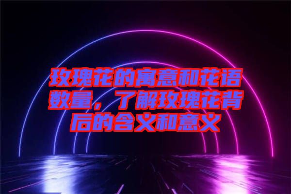 玫瑰花的寓意和花語數(shù)量，了解玫瑰花背后的含義和意義