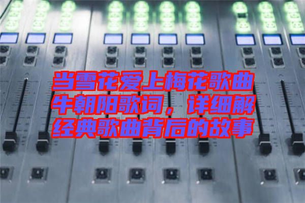 當(dāng)雪花愛上梅花歌曲牛朝陽歌詞，詳細(xì)解經(jīng)典歌曲背后的故事