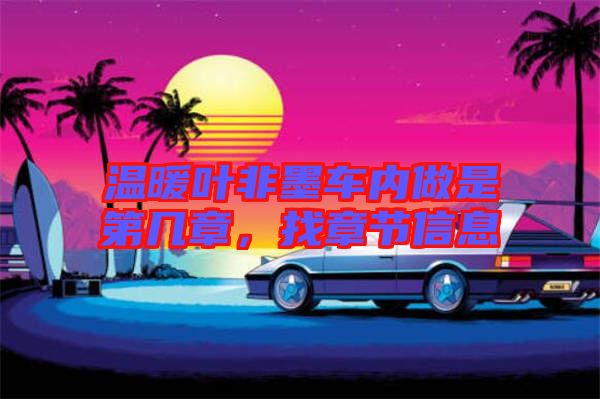 溫暖葉非墨車內(nèi)做是第幾章，找章節(jié)信息