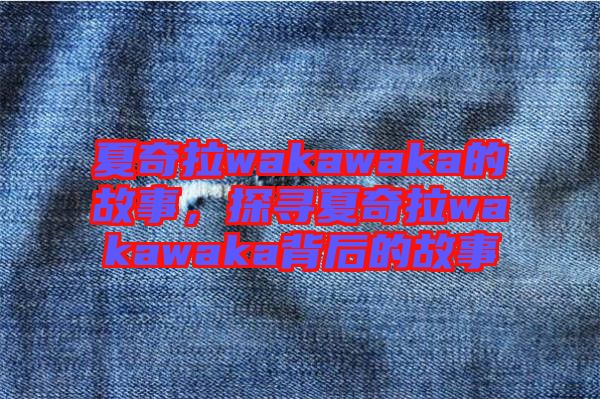 夏奇拉wakawaka的故事，探尋夏奇拉wakawaka背后的故事