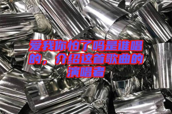 愛我你怕了嗎是誰唱的，介紹這首歌曲的演唱者