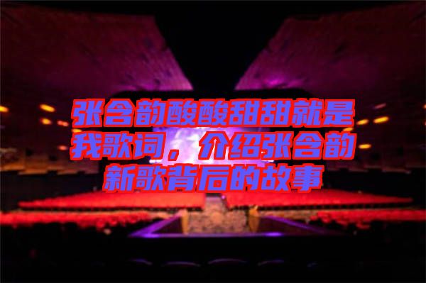 張含韻酸酸甜甜就是我歌詞，介紹張含韻新歌背后的故事