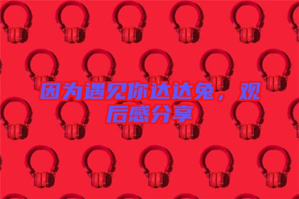 因?yàn)橛鲆娔氵_(dá)達(dá)兔，觀后感分享