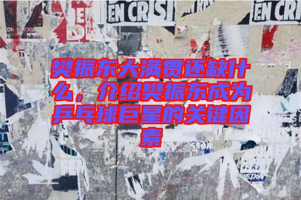 樊振東大滿(mǎn)貫還缺什么，介紹樊振東成為乒乓球巨星的關(guān)鍵因素