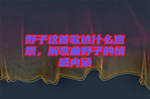 野子這首歌達什么意思，解歌曲野子的情感內涵
