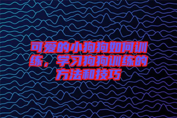 可愛(ài)的小狗狗如何訓(xùn)練，學(xué)習(xí)狗狗訓(xùn)練的方法和技巧