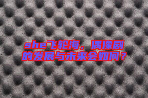 she飛輪海，偶像劇的發(fā)展與未來(lái)會(huì)如何？