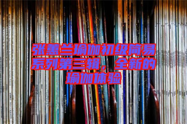 張蕙蘭瑜伽初級簡易系列第三輯，全新的瑜伽體驗