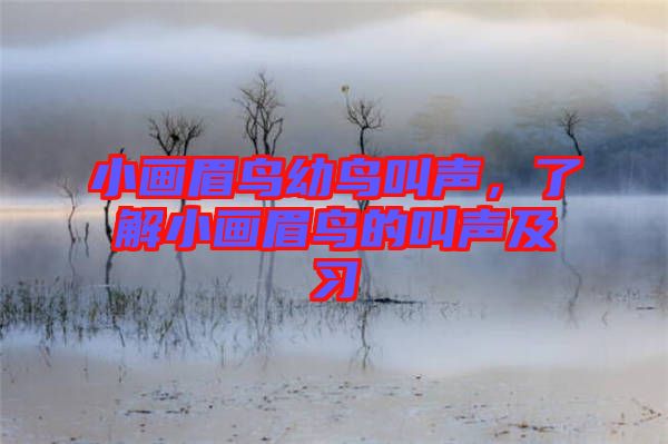 小畫(huà)眉鳥(niǎo)幼鳥(niǎo)叫聲，了解小畫(huà)眉鳥(niǎo)的叫聲及習(xí)