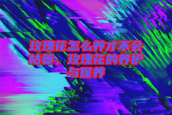 玫瑰花怎么養(yǎng)才不會(huì)枯萎，玫瑰花的養(yǎng)護(hù)與保養(yǎng)