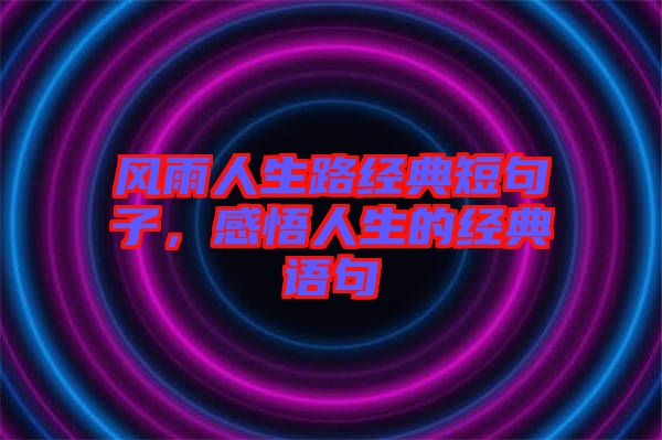 風(fēng)雨人生路經(jīng)典短句子，感悟人生的經(jīng)典語句