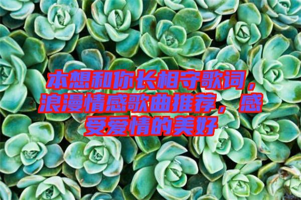 本想和你長相守歌詞，浪漫情感歌曲推薦，感受愛情的美好