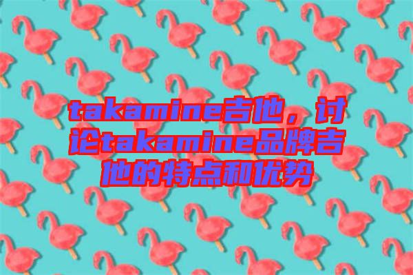 takamine吉他，討論takamine品牌吉他的特點和優(yōu)勢
