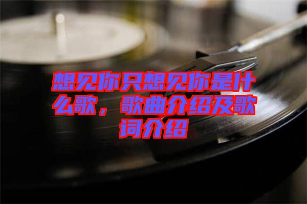 想見你只想見你是什么歌，歌曲介紹及歌詞介紹