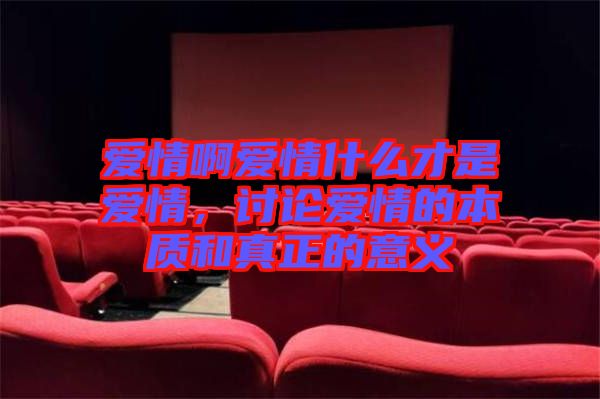 愛(ài)情啊愛(ài)情什么才是愛(ài)情，討論愛(ài)情的本質(zhì)和真正的意義