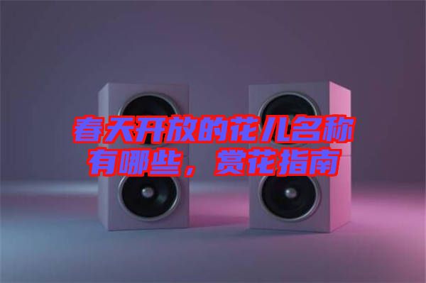 春天開放的花兒名稱有哪些，賞花指南