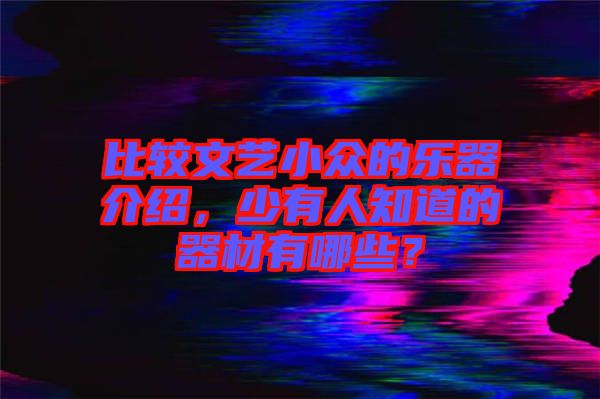 比較文藝小眾的樂器介紹，少有人知道的器材有哪些？