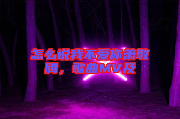 怎么說我不愛你蕭敬騰，歌曲MV及