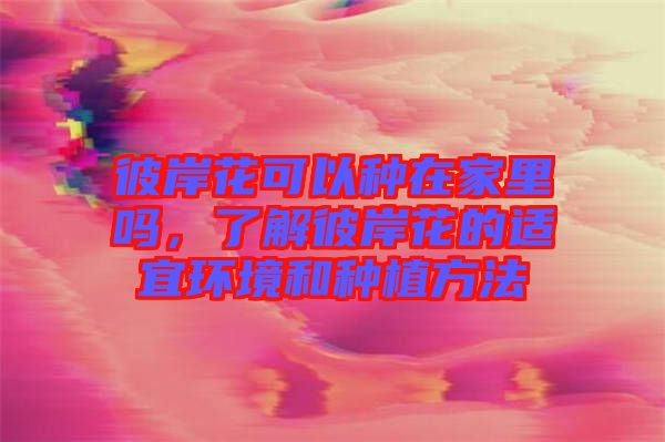 彼岸花可以種在家里嗎，了解彼岸花的適宜環(huán)境和種植方法