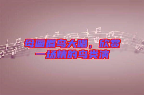母畫眉鳥大唱，欣賞一場(chǎng)精的鳥類演