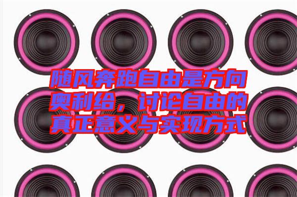 隨風奔跑自由是方向奧利給，討論自由的真正意義與實現(xiàn)方式