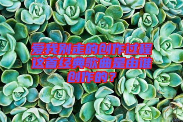 愛我別走的創(chuàng)作過程這首經(jīng)典歌曲是由誰創(chuàng)作的？