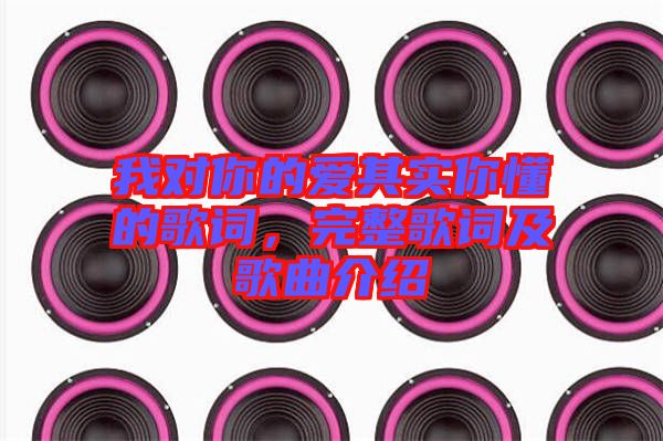 我對(duì)你的愛(ài)其實(shí)你懂的歌詞，完整歌詞及歌曲介紹