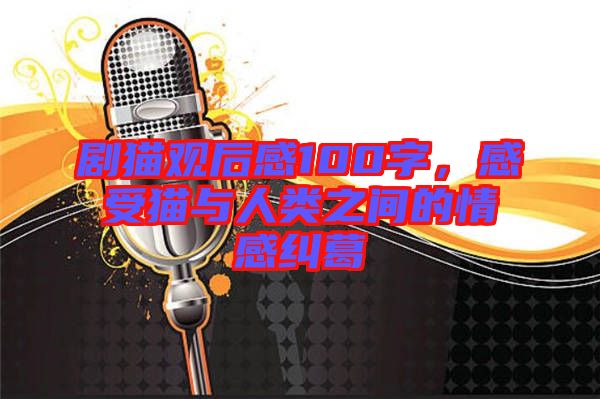 劇貓觀后感100字，感受貓與人類之間的情感糾葛