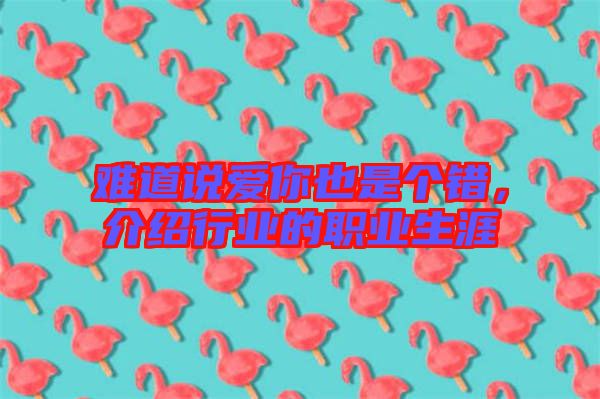 難道說愛你也是個(gè)錯(cuò)，介紹行業(yè)的職業(yè)生涯
